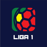 Liga 1 Viseu