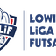Łowicka Liga Futsalu